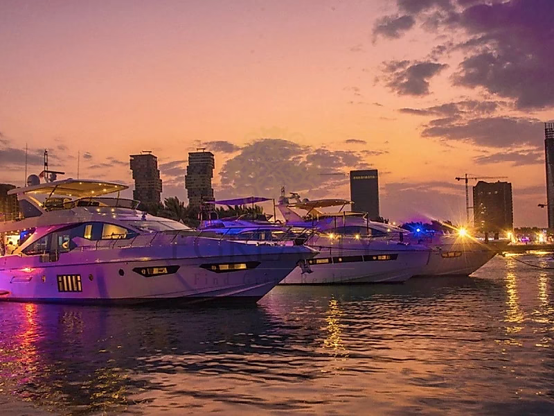 555 SQM FREEHOLD Villa Corner Plot | Strategic Location - Photo 4