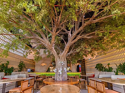 فرصة استثمارية مميزة في قطاع الضيافة – لوسيل الواجهة البحرية، قطر