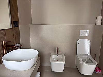 Elegant 3-Bedroom Villa | 350 SQM Plot | Prime Balotești Location