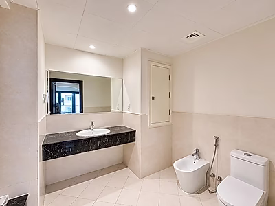 Luxurious Spacious 2br FF apartment| Porto