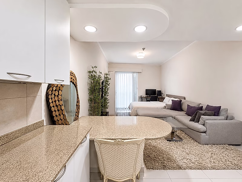 FULLY FURNISHED STUDIO WITH BEACH ACCESS - Photo 6