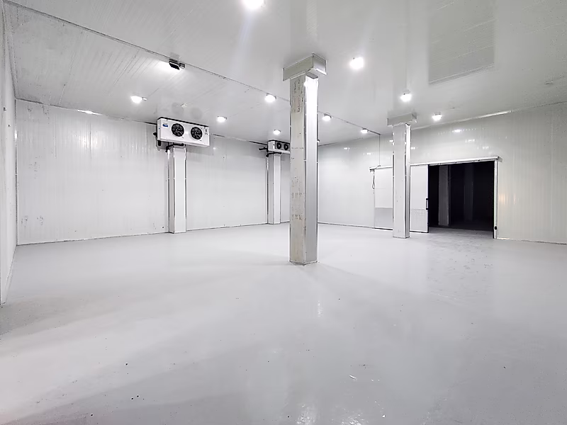 FULLY EQUIPPED COLD STORAGE IN A PRIME LOCATION - Photo 11