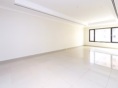 AMAZING DEAL! SPACIOUS 1-BR APARTMENT | PORTO
