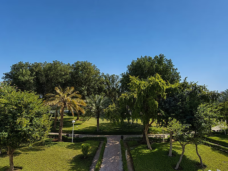 STAND ALONE 7 BEDROOMS + MAID VILLA - Photo 13