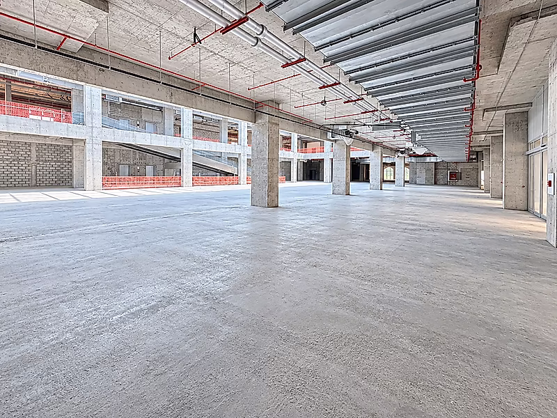 Available for Lease 3,834 SQM Umm Salal Mohammad - Photo 4