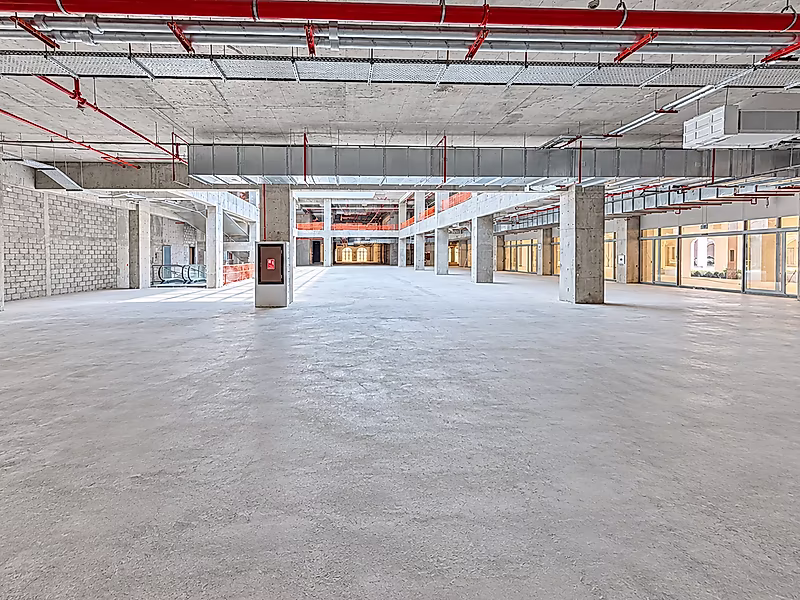 Available for Lease 3,834 SQM Umm Salal Mohammad - Photo 6