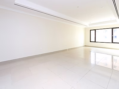 AMAZING DEAL! SPACIOUS 1-BR APARTMENT | PORTO