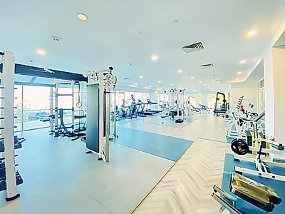 شقة واسعة بغرفة نوم واحدة | شرفتان | مؤجرة | سند ملكية